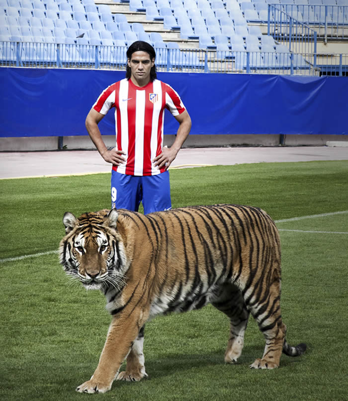 El tigre Falcao
